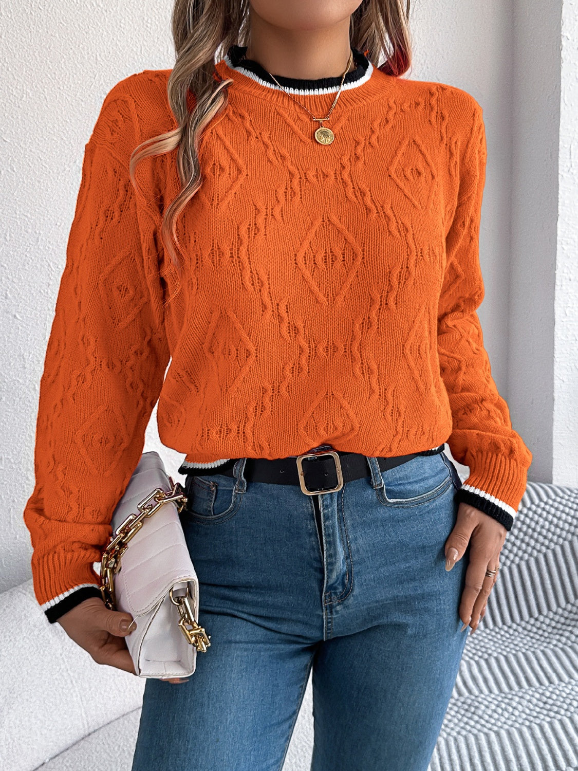 Arlene | Suéter Con Contraste Trim Cuello Redondo Manga Larga