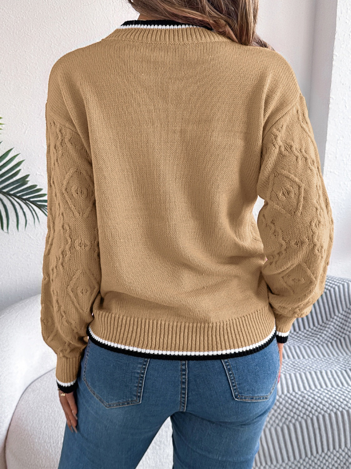 Arlene | Suéter Con Contraste Trim Cuello Redondo Manga Larga