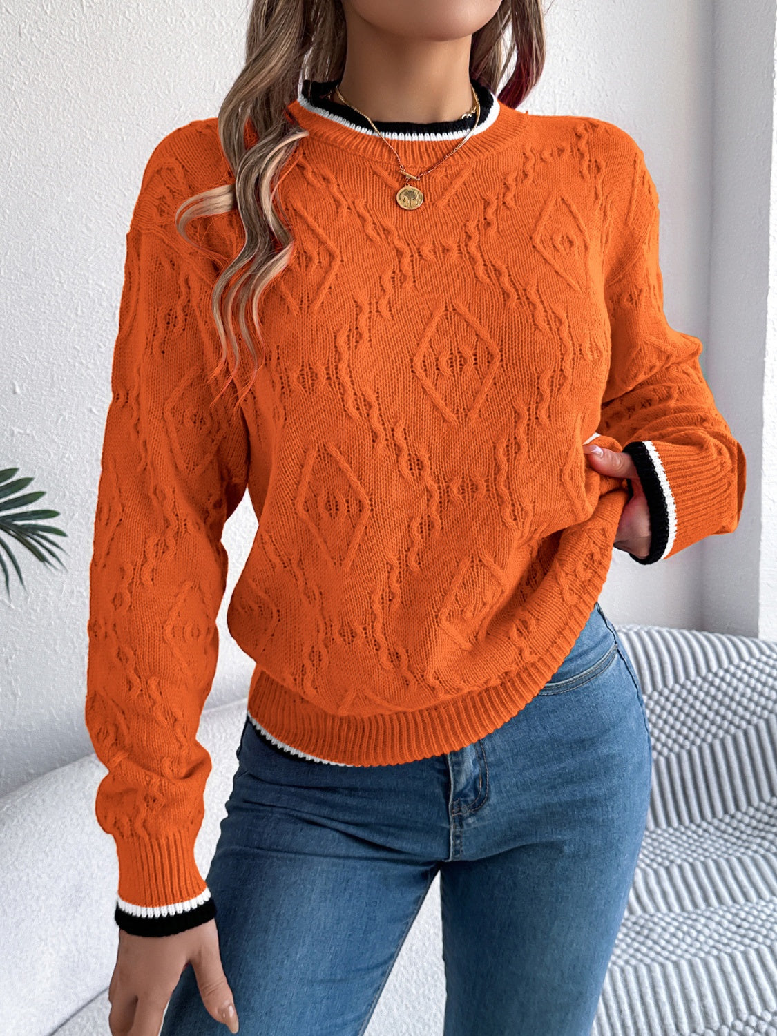 Arlene | Suéter Con Contraste Trim Cuello Redondo Manga Larga