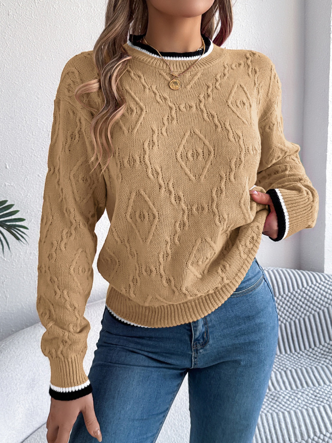 Arlene | Suéter Con Contraste Trim Cuello Redondo Manga Larga