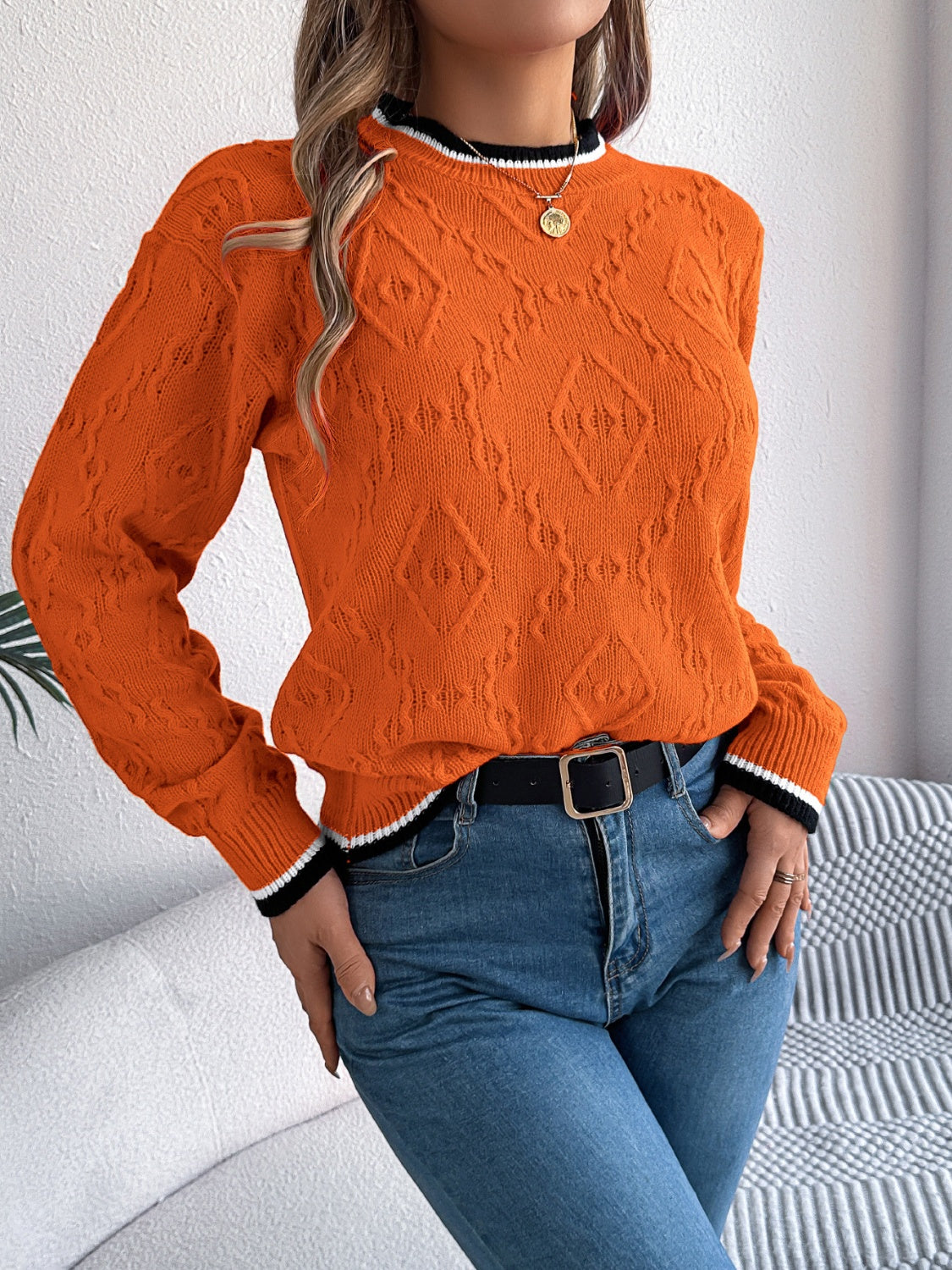 Arlene | Suéter Con Contraste Trim Cuello Redondo Manga Larga