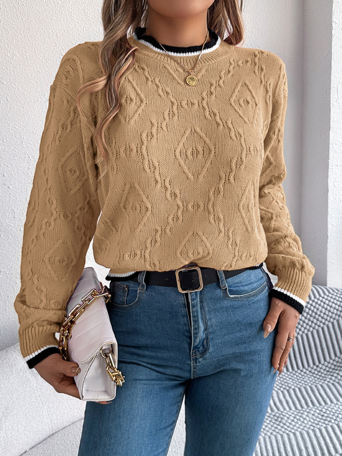 Arlene | Suéter Con Contraste Trim Cuello Redondo Manga Larga